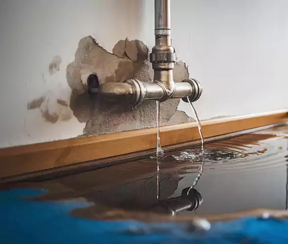 Professional Water Damage Restoration Experts in Melrose, MA — Fast, Reliable & Certified