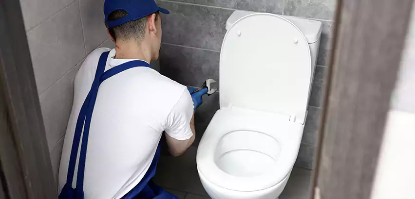 Toilet Lid Replacement in Melrose