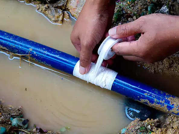  Why Choose Melrose Plumbing Pros for Leak Detection in Melrose, MA?]