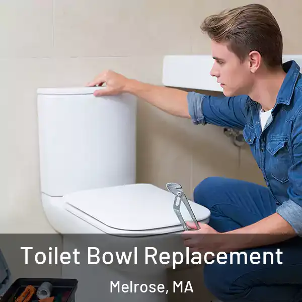  Toilet Bowl Replacement Melrose, MA